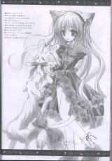 BUY NEW tinkerbell - 121064 Premium Anime Print Poster